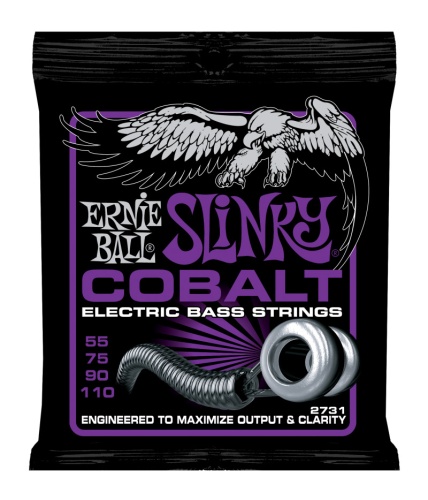 Ernie Ball 2731