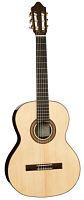 Kremona F65S Spruce Fiesta Soloist Series